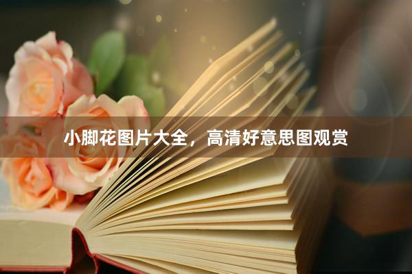 小脚花图片大全，高清好意思图观赏