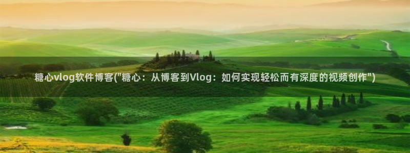 糖心vlog马甲已经满：糖心vlog软件博客(\