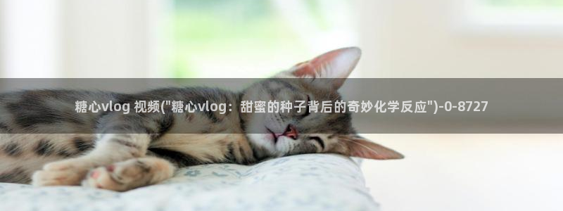 糖心vlog蜘蛛：糖心vlog 视频(\