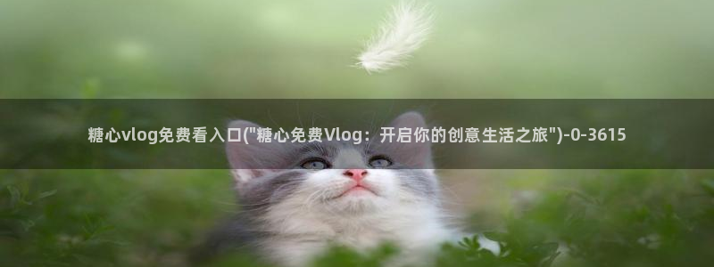 糖心vlog的网址