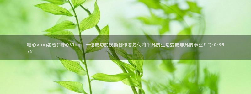 糖心vlog柚子猫欧美：糖心vlog老板(\