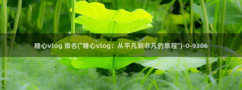 糖心vlog可爱兔资源：糖心vlog 排名(\