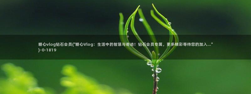 糖心vlog海外网站：糖心vlog钻石会员(\